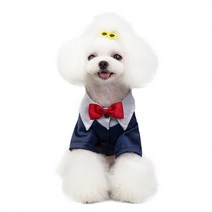 예쁜 강아지 드레스 여름옷 영상촬영 파티 입체 봄 공주옷 귀여운 결혼, 푸른 색, M-가슴37등25권장 2.0-2.5kg