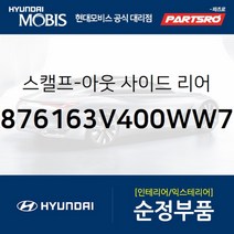 그랜저HG/하이브리드/아슬란 순정 사이드미러 커버(백미러 스캘프) 좌측(아이스화이트) (876163V400WW7)