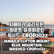 (커피생두) 226 자메이카 클리프톤 마운트 블루마운틴 워시드-CROP2022 500g