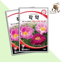 작약 10립 세계종묘 약초 화훼류 씨앗