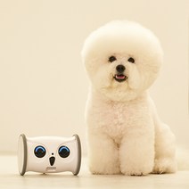 [애견로봇] 스마트케어봇 코지 강아지움직이는장난감 펫CCTV 노즈워크 펫캠 간식로봇