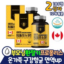 환절기 푸로폴리스 부모님 비강 구강 인후 면역력 온가족 프로폴리스 포리폴리스 에좋은 영양제 효과 효능 구강항균 항산화 캐나다산 아연 플라보노이드 활성산소 입냄새 제거 노인
