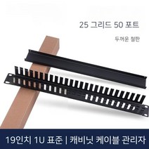 점퍼스루 랙타입 24포트 통신 전산 랙 케이블 정리 1U, 19인치 1U 25x2 포트, 1개