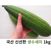 국내산 신선한 생수세미 1kg 국산 수세미, 1kg(4-5개)