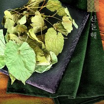 자연산 야생 삼지구엽초 100g 음양곽 삼지구엽초주, 1개