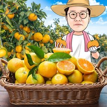 프레시왕 제주 농장 직배송 노지 감귤 3kg 5kg 10kg 귤 실중량, 34.노지 감귤 혼합과(랜덤) 10kg