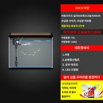 거북이 아크릴 장식장 대형 어항 수조 안깨지는, 60CM어항(온현미포함)