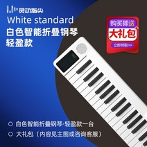 전자피아노 휴대용 88건반 접이식 무선 집콕 폴더블