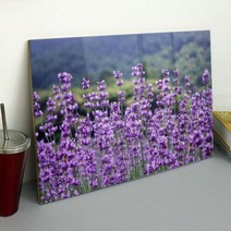 da986-아크릴액자_보라색라벤더꽃밭(대형), 2.라벤더