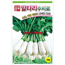 아시아종묘 수시로알타리 가을김장 무씨앗 무우씨 종자 (20g)