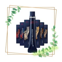 [신형] 웰라 콜레스톤 퍼펙트 염색약 80g(산화제별도), 11/77