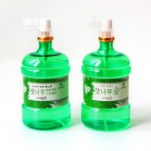 피톤치드 스프레이 방향제 새집 새차 냄새제거 미세먼지 탈취제, 230mg, 1개