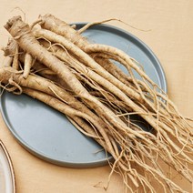 국산 햇 3-4년근 약도라지 백도라지 생도라지 통도라지 정과용도라지 1kg, 3~4년근 약도라지 (중사이즈), 1개