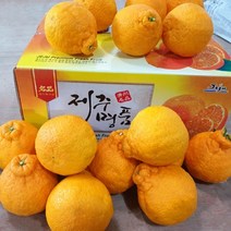2023년 나영이네농장 고당도 한라봉 천혜향 2.5kg 4.5kg 9kg- 달아요 산지직송 실중량, 한라봉 9kg(30~39과)대과-벌크
