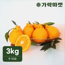 가락시장 직송 한라봉 3kg(9-10과)