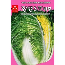 장생 3호 배추 씨앗 2000립 속 잎 노랗고 맛 좋은 김장 배추김치 고소한 텃밭 채소 농사