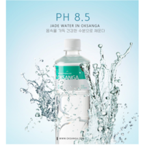 [JAYA] 옥산가 춘천 미네랄워터 알카리수 민트한글라벨 550ml 20병