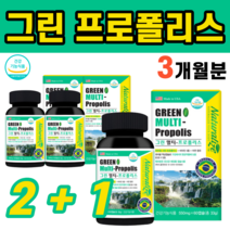 브라질 그린프로폴리스 비타민 아연 츄어블 구강 항균 유산균 배양물 플라보노이드 비타민 A B2 C D E 프로폴리스 항산화음식 에리스리톨 로얄젤리 리소짐 페퍼민트맛 액상형, 3병(180캡슐)