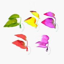 그로비타 베타침대 5종 베타 은신처 쉼터 어항장식, 옐로우