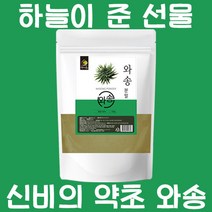 진짜 국내산 건강에 좋은 와송 분말 0.5kg 가루 부모님 건강 식품 선물 추천 즙 차, 1팩