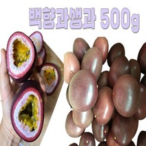 패션후르츠청만들기 국산 백향과생과 500g