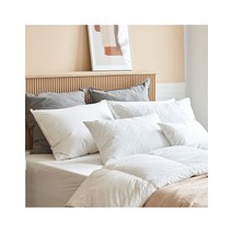 [소프라움] 패밀리 구스 베개솜 50x70, 화이트