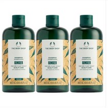 더바디샵 [2+1] 대용량 진저 샴푸 기획 세트 (진저샴푸 400ML X 3), 1세트