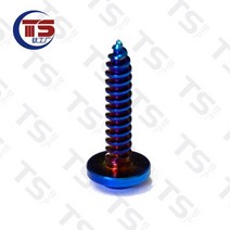 오토바이볼트 나사 티타늄 특수 TS M5X12/15/20mm M4X15mm 셀프 태핑 버튼 Torx 헤드 스크류 오토바이 차량용 1pc, 23.M4X15mm - Burn blue
