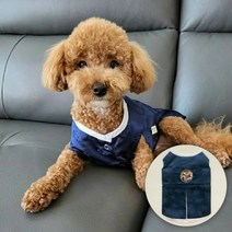 루펫 강아지한복 고양이옷 나비자수 남아 한복