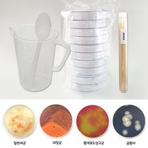 세균배양배지 만들기키트 10인용(일반세균 대장균 황색포도상구균 곰팡이균 선택), 일반세균