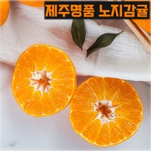 제주 고당도 햇노지감귤 조생 타이벡 타이펙귤 3kg 5kg 10kg 10키로 산지직송 중대과 제철 한박스 택배 보관방법 3키로 5키로, 제주 감귤 10kg(1월26일이후 순차출고) 중대과