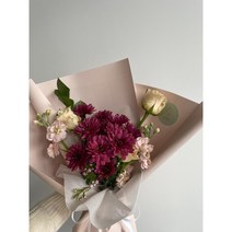 헤이와 주문제작 꽃다발 / 파주시 운정 1 2 3 5 6동 / 파주시 문발동 / 일산 덕이동 / 일산 가좌동 / 일산 대화동 / 일산 1 2 3동 / 탄현 1 2동 배달 가능, L