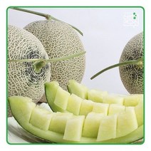 [신선연구소]전남 나주 세지농협 메론 5kg(3수) 특, 1개