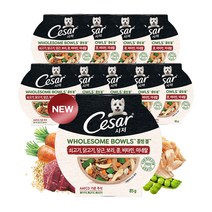 정품 시저 홀썸볼 쇠고기 닭 당근 보리85g x 10개 강아지주식 습식사료 휴먼그레이드, 1개, 85g