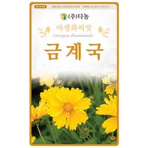 다농 금계국 씨앗 200립 야생화 씨앗