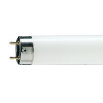 표준광원 필립스 Philips Master TL-D 90 Graphica 36W/965 6500K D65 색상 품질 확인용 형광등, D50 5000K