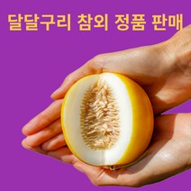 고당도 참외 소과 중과 대과 정품, 성주 참외 정품 5kg(12~20과) 중과, 1개