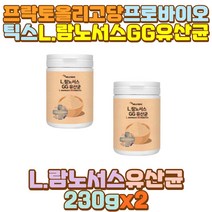 중학생 락토바실러스 람노서스 엘지지 유산균 먹이 남편 신랑 와이프 신부 아들 중 고등 대 학생 청소년 수험생 직장인 야식 회식 술자리 외식 과식 인스턴트 패스트푸드 음식 섭취 음주 과음 폭음 40대 남자 여자