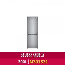 LG전자 일반냉장고 2도어 상냉장 300L [샤인/M301S31]