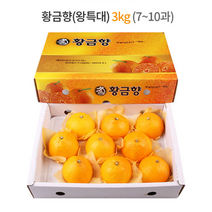 제주 황금향 선물세트 3kg (왕특대과) 7-10과 / 하우스 노지 고당도 귤 감귤 밀감 레드향 천혜향 카라향 청귤 수라향 신비향 가정용 추석 명절 설 감사 선물 조생 타이벡, 3kg (대) 14-16과