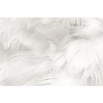 사용자 정의 깃털 벽지 TV 배경 벽 거실 흑백 침실 3d 벽화, 04 4_03 Glitter Silk canvas