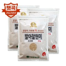 대한농산 22년 국산 발아찰현미 6kg(2kgx3) / 찰현미 국산잡곡 박스포장