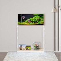 축양장 어항다이 선반 2단 500 x 500 x 600, 화이트