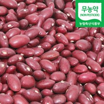 직송 국산 무농약 적강낭콩 붉은 강낭콩 빨강콩 빨간콩 홍대, 1개, 500g