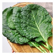[푸르젠] [담양직송] 김상식님의 유기농 케일 2kg(즙용), 상세 설명 참조, 상세 설명 참조