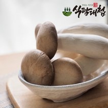 식탐대첩 국내산 미니 새송이버섯 2kg, 1개