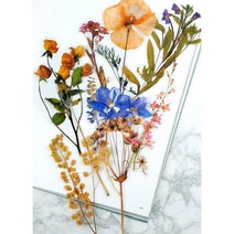 빈티지 다꾸스티커 vol 11 세트 꽃 나뭇잎 식물 다이어리 꾸미기 인스 아이패드 레트로, 08.유칼립투스