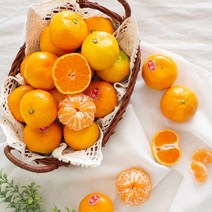 [요리하는남자들] 하우스 제주감귤 레드향 천혜향 황금향 한라봉 선물세트 2.5kg~5kg, 감귤 5kg 소과~2s