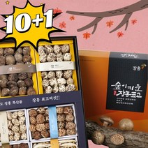 장흥 표고 버섯 선물 세트 백화고 흑화고 동고 건표고 말린표고 참나무 좋은 판매 셋트, 감사세트, 감사3호