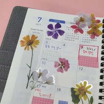 해바라기 청첩장 스티커 책갈피 만들기 다꾸 빈티지 캐리어 답례품 칭찬 바인더 다꾸세트 압화 노트북 공예
